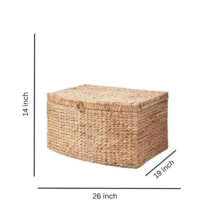 Baúl rectangular de jacinto de agua de 26"x19"x14" en color marrón natural: arcón de almacenaje, estructura de hierro